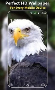 Eagle Live Wallpaper HD screenshot 1