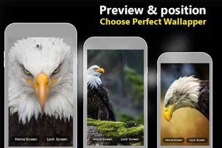 Eagle Live Wallpaper HD screenshot 2