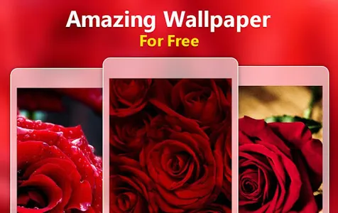 Red Rose Wallpaper screenshot 8