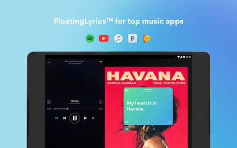 Musixmatch: lyrics finder screenshot 16