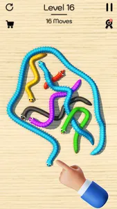 Tangled Snakes: Puzzle Game screenshot 13