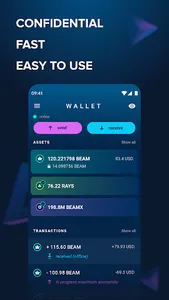 Beam Wallet screenshot 0