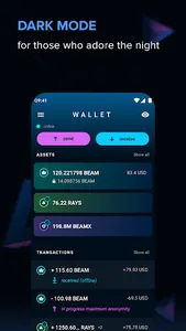 Beam Wallet screenshot 5