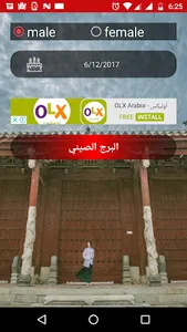 السنة الصينية screenshot 0