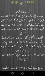 Dewan E Saifia screenshot 1
