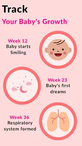 Pregnancy Tracker & Calculator screenshot 8