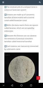 Teach Me Histology screenshot 2