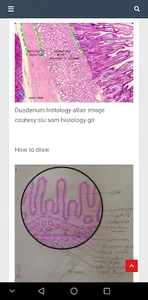 Teach Me Histology screenshot 4