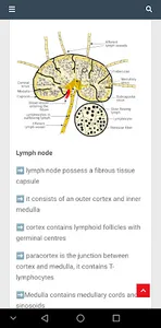 Teach Me Histology screenshot 5