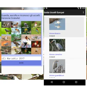 Guida Uccelli europei free screenshot 2