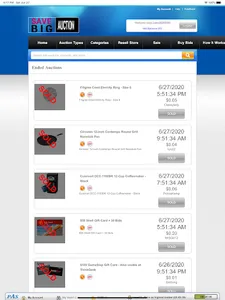 Save Big Auction screenshot 10