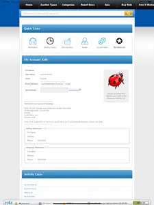Save Big Auction screenshot 11