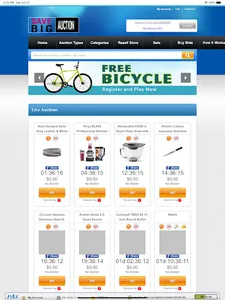 Save Big Auction screenshot 8