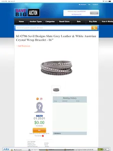 Save Big Auction screenshot 9