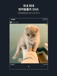 Snapet | 반려동물 SNS screenshot 10