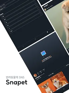 Snapet | 반려동물 SNS screenshot 16
