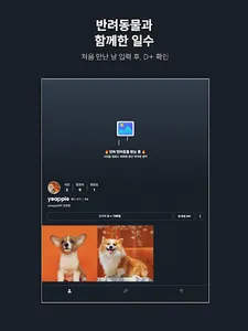 Snapet | 반려동물 SNS screenshot 22