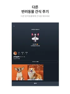 Snapet | 반려동물 SNS screenshot 23