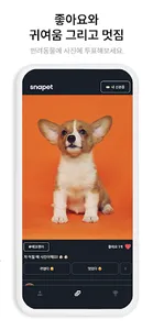 Snapet | 반려동물 SNS screenshot 3
