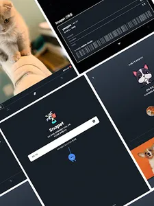 Snapet | 반려동물 SNS screenshot 9