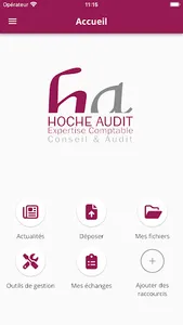 MY HOCHE AUDIT screenshot 1