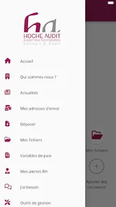 MY HOCHE AUDIT screenshot 2