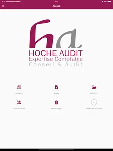 MY HOCHE AUDIT screenshot 5