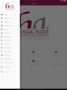 MY HOCHE AUDIT screenshot 6
