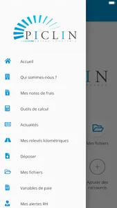 PICLIN EXPERT COMPTABLE screenshot 1