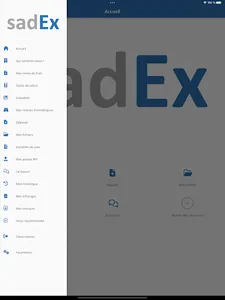 sadEx expert-comptable screenshot 11