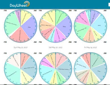 MyDayWheel screenshot 3