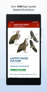 Sasol eBirds Southern Africa screenshot 5