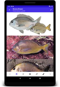 Marine Fish Guide screenshot 9