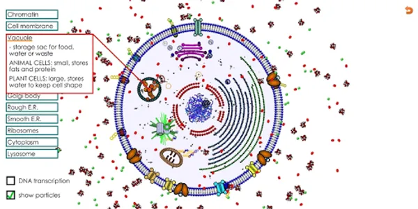 Animal Cell for High School Sc screenshot 0