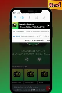 Звуки Природы для сна RU screenshot 4