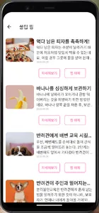이연준의 꿀팁 앱 screenshot 7