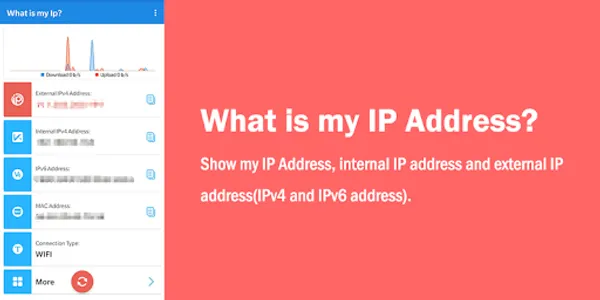 What is my IP Address? - My IP screenshot 0