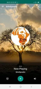 Ibile9jaRadio screenshot 1