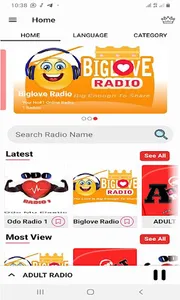 BigLove Media Europe screenshot 1
