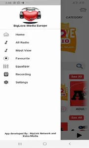 BigLove Media Europe screenshot 2