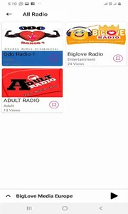 BigLove Media Europe screenshot 3