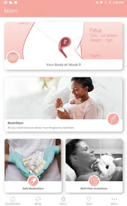 My Pregnancy Journey screenshot 8