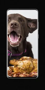 farmer dog food screenshot 1