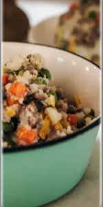home made dog food recipe screenshot 1