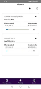 MyBudget screenshot 10