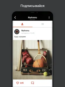 NaArenu screenshot 6