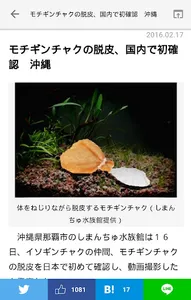 虚構新聞 screenshot 2