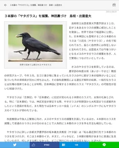 虚構新聞 screenshot 4
