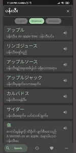 Myanmar Japanese Dictionary screenshot 0