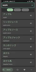 Myanmar Japanese Dictionary screenshot 1